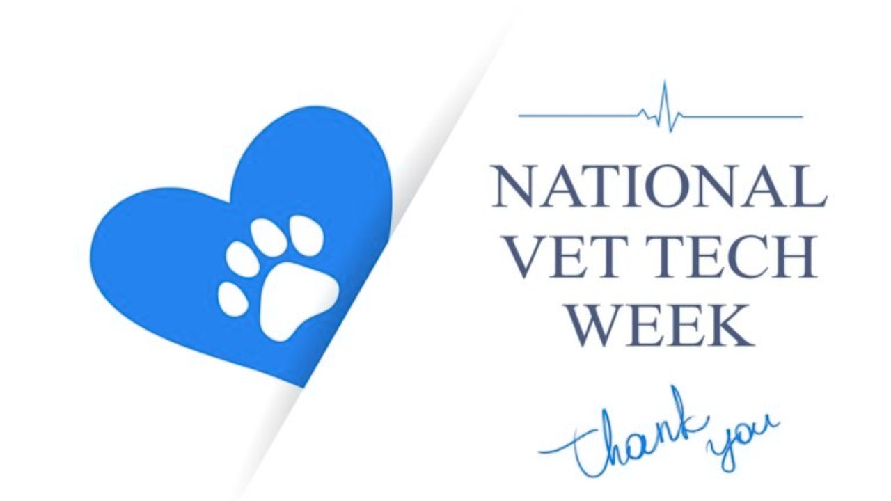 Vet Tech Week 2024